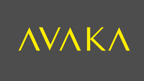 AVAKA: Nuo pieštuko iki ekrano