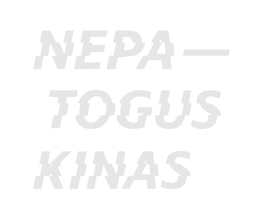 Nepatogus kinas