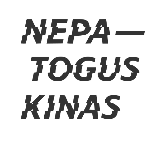 Nepatogus kinas
